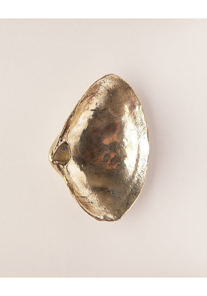 Brass Shell w/ Black Diamond